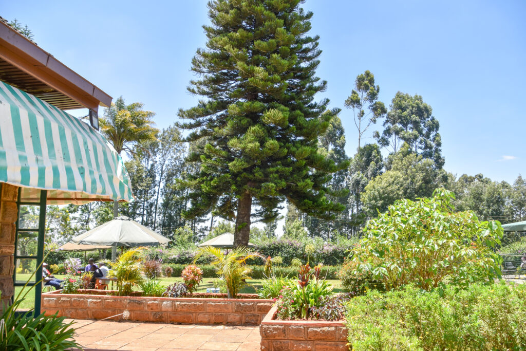 Retreat Rehab Limuru-Serenity