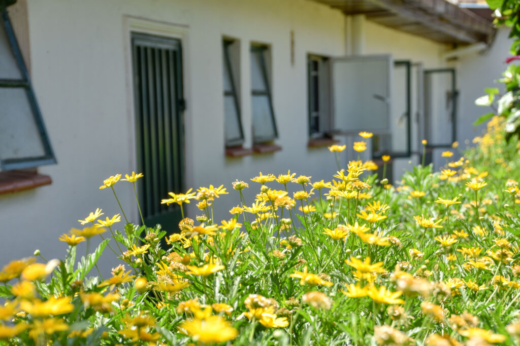 Retreat Rehab Limuru-Sunshine